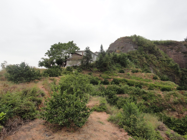 DSC01734.JPG