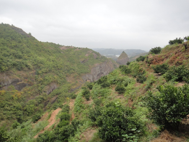 DSC01735.JPG