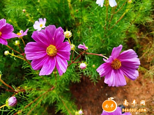 174402u8y6i2xc28kaiaxi.jpg