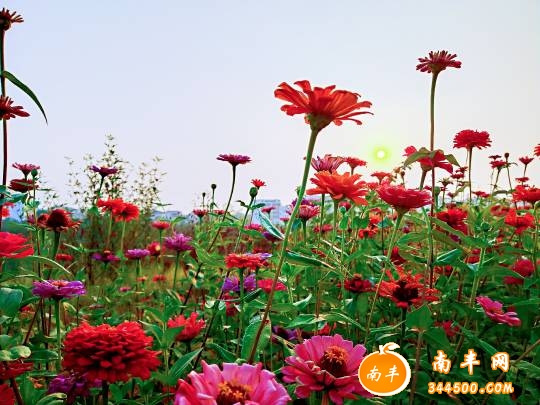 100448tgkrjyj6vy66oie6.jpg