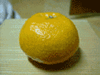 �ղص��۽���Ƭ