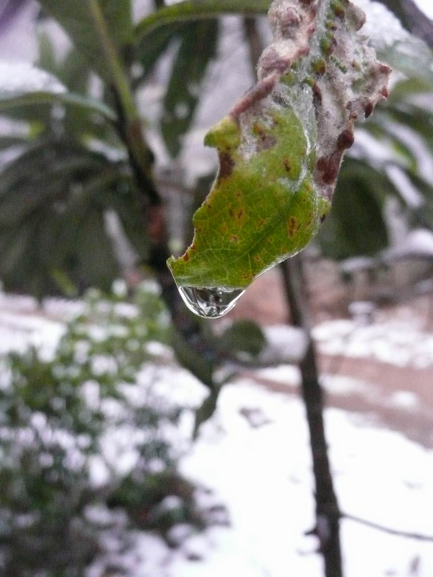 ˮ��