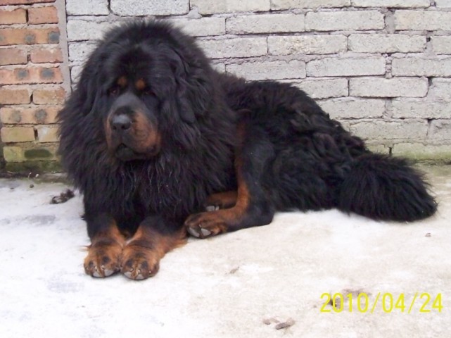 �������ݵ������˳��۴�С����